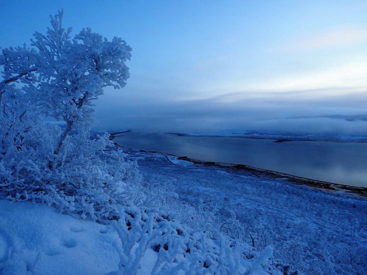 Varangertunet Bed & Breakfast Jakobselv Exteriér fotografie
